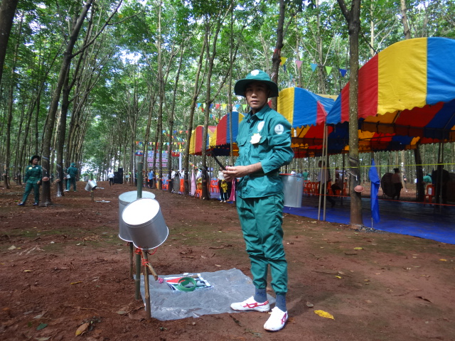 Doanh nghiệp cao su “hồi hộp” với diễn biến giá cao su